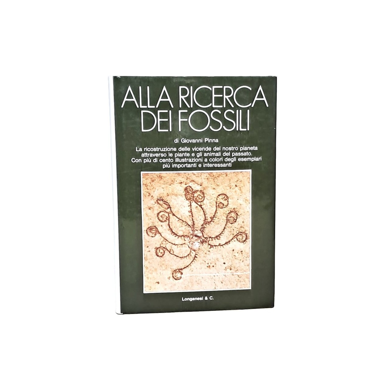 Alla ricerca dei fossili