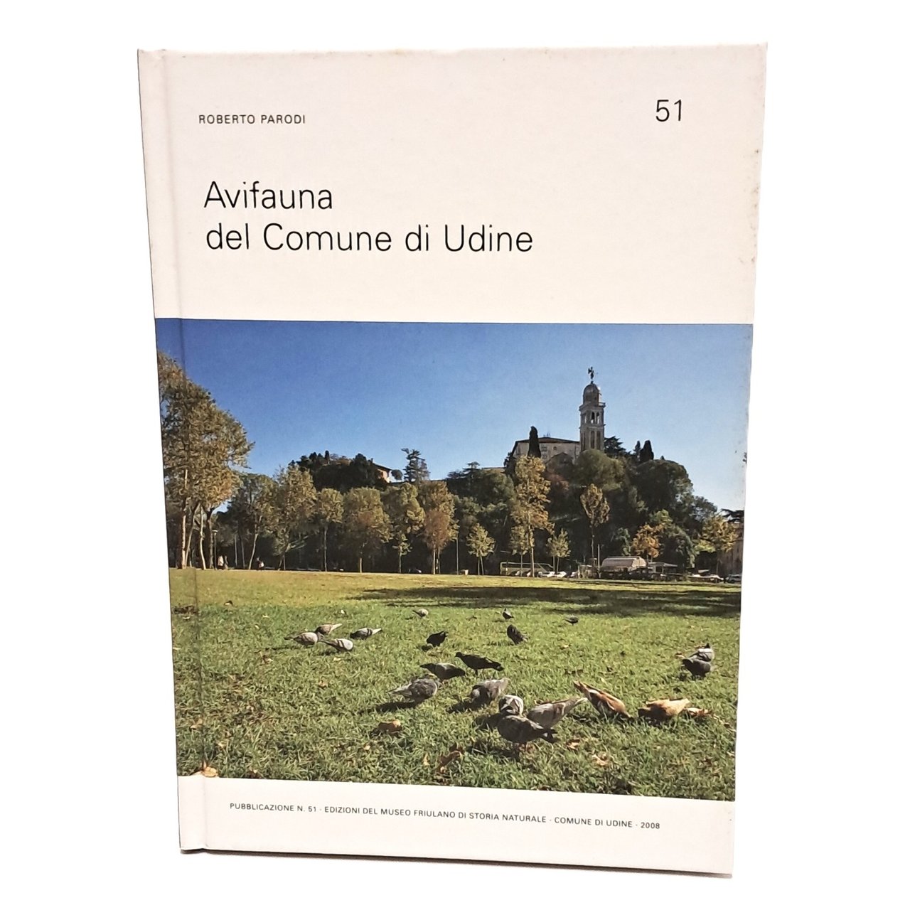 Avifauna del comune di Udine