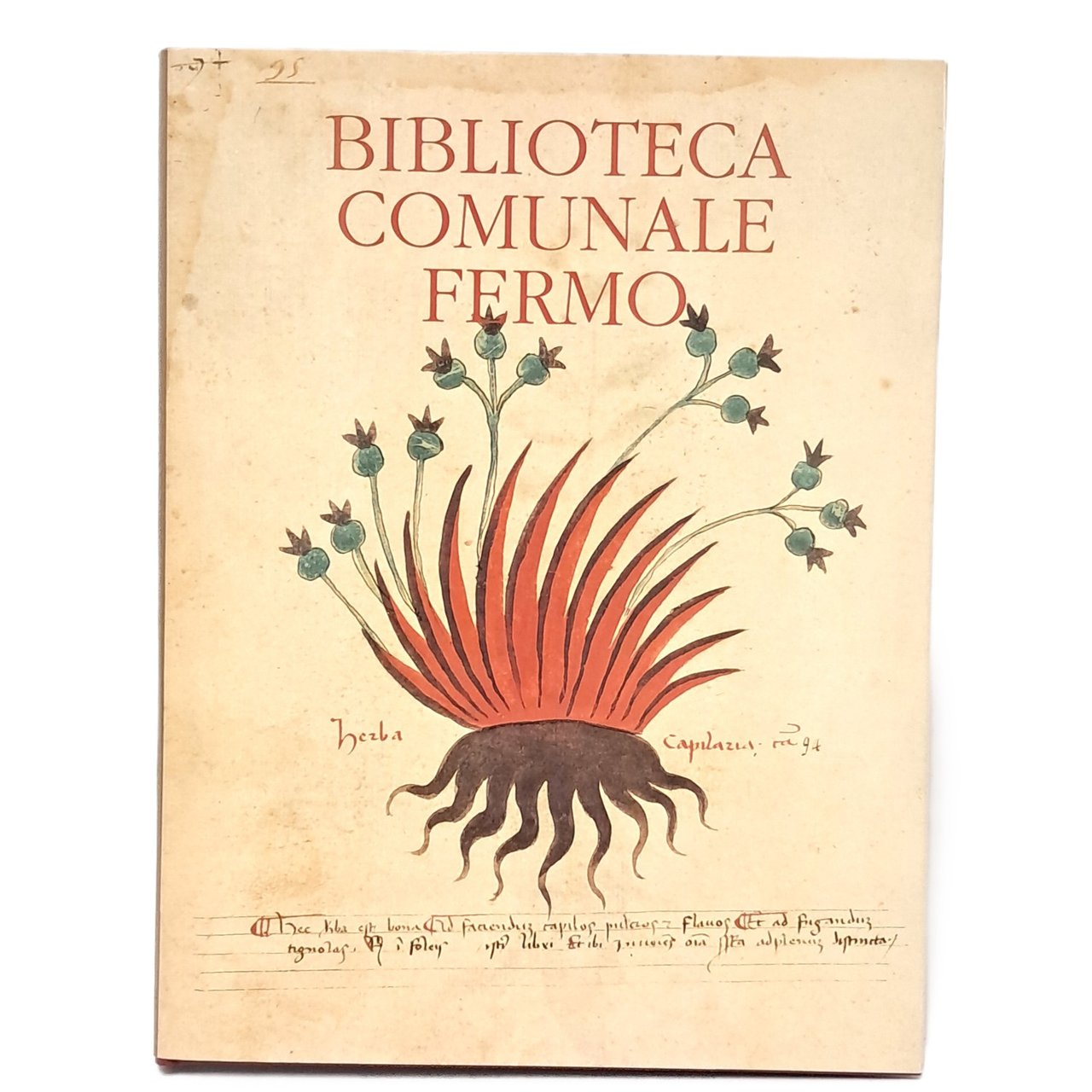 Biblioteca comunale di Fermo | Immagine principale