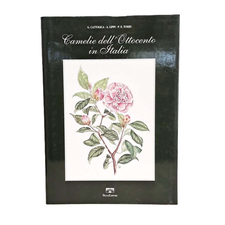 Camelie dell'Ottocento in Italia