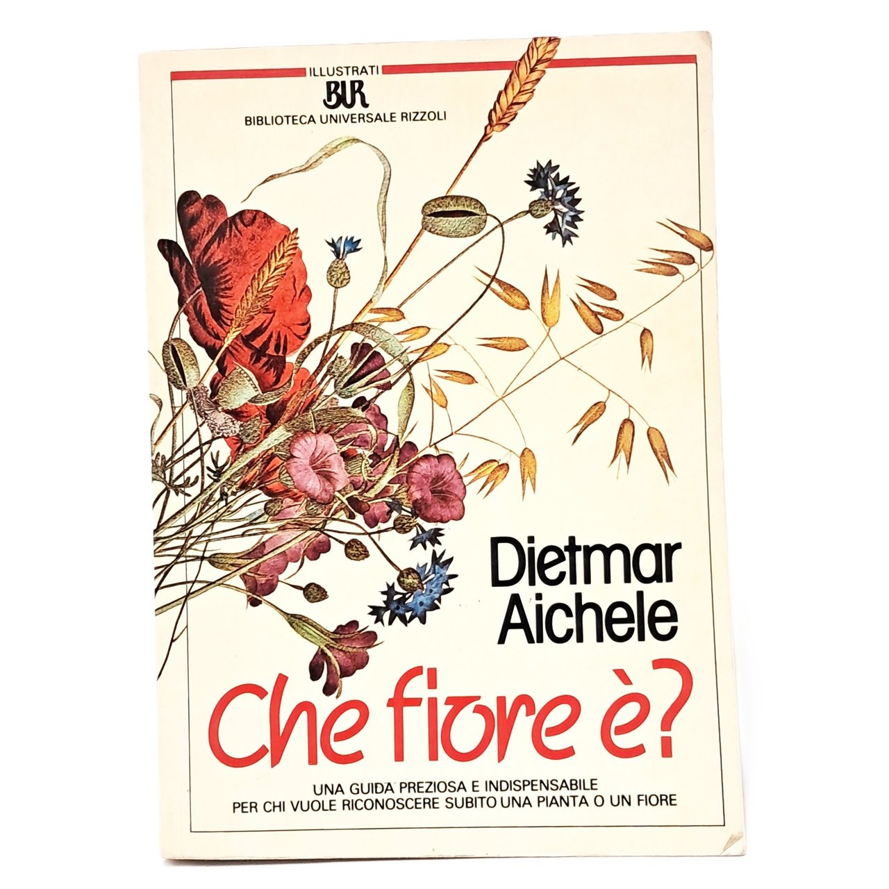 Che fiore è? | Immagine principale