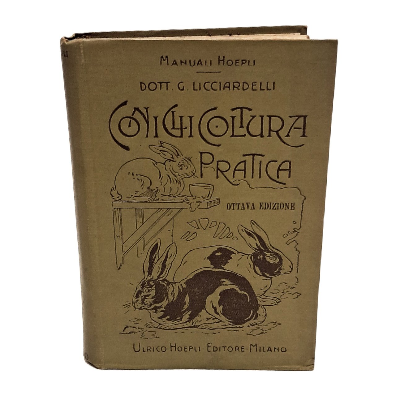 Coniglicoltura pratica