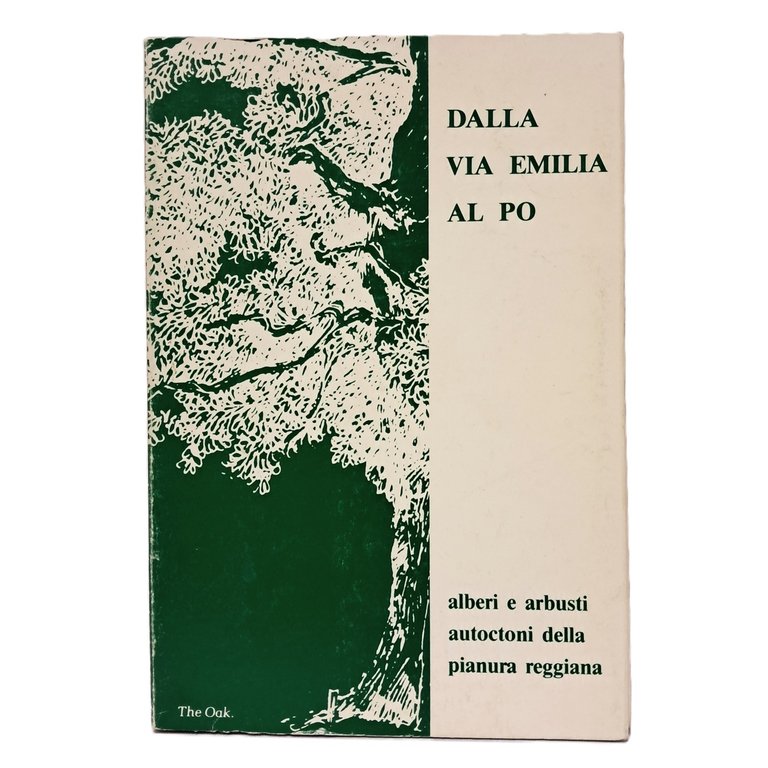 Dalla Via Emilia al Po | Immagine Gallery 2