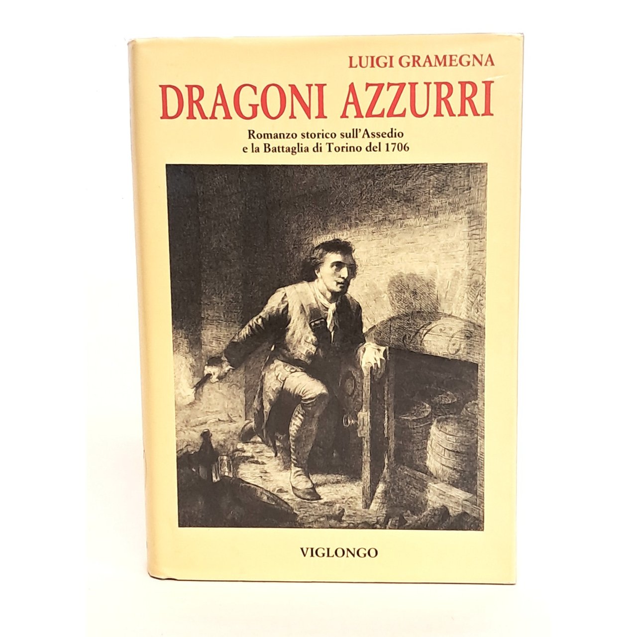 Dragoni azzurri. Romanzo storico sull'assedio e la battaglia di Torino …