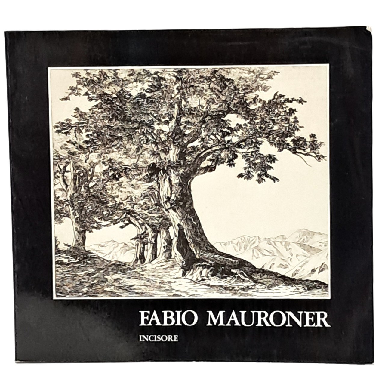 Fabio Mauroner incisore