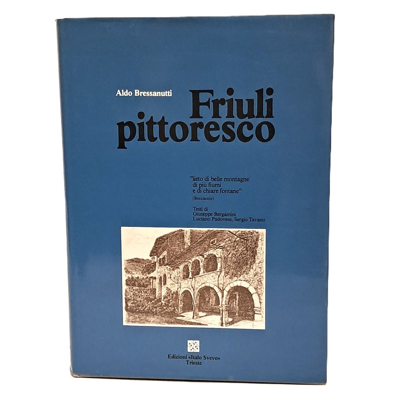 Friuli pittoresco