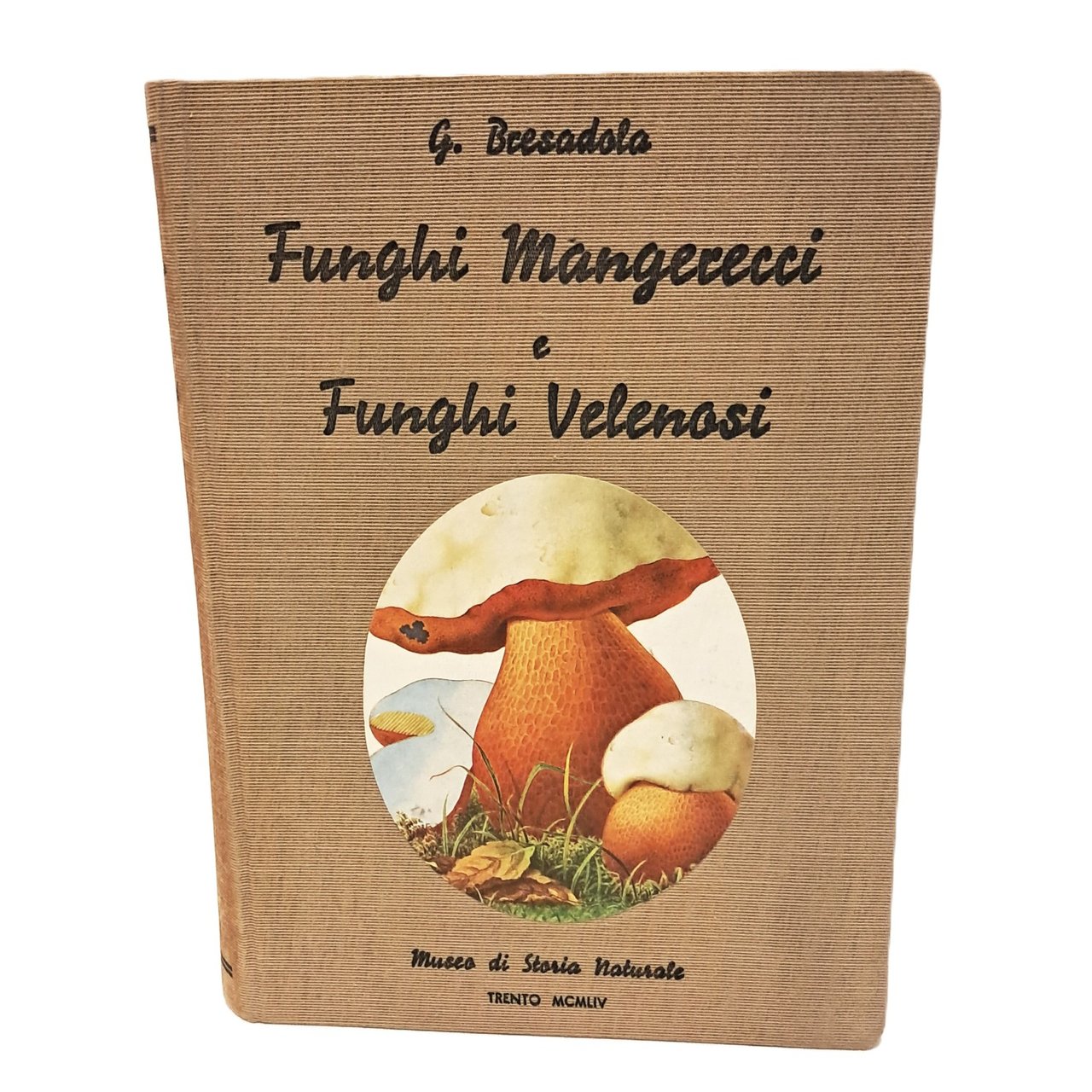 Funghi mangerecci e funghi velenosi