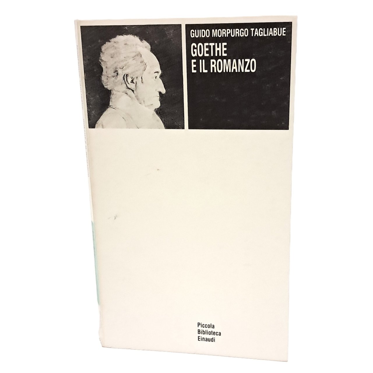 Goethe e il romanzo