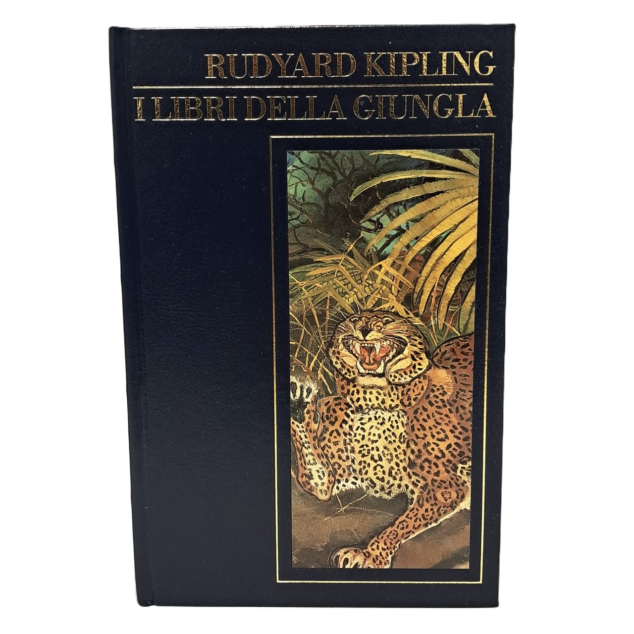 I libri della giungla | Immagine principale