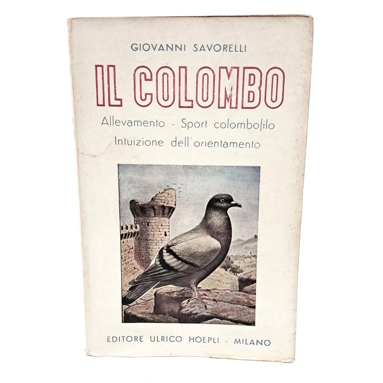 Il colombo