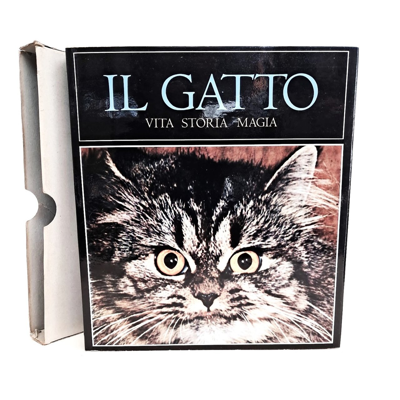 Il gatto. Vita storia magia