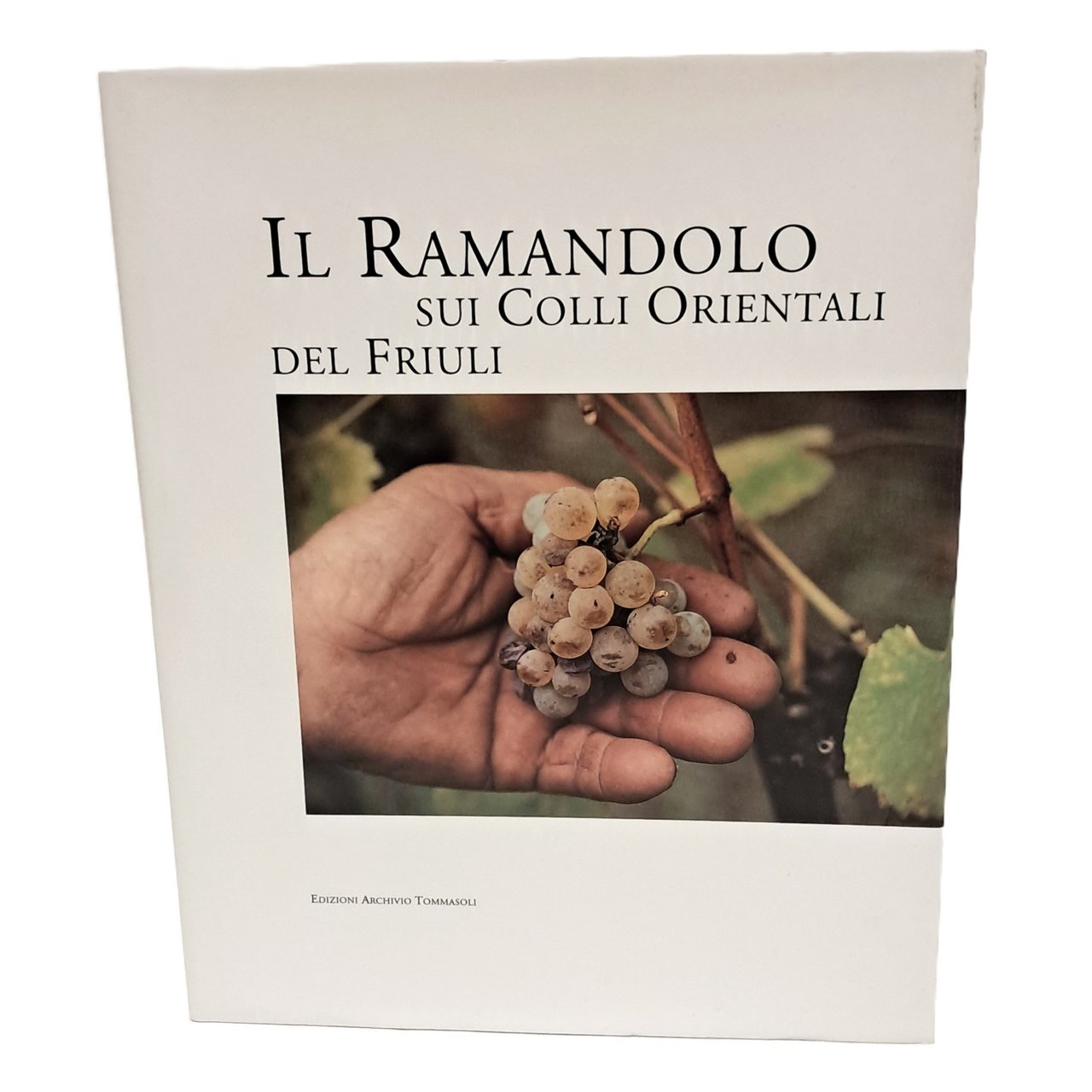Il ramandolo sui colli orientali del Friuli