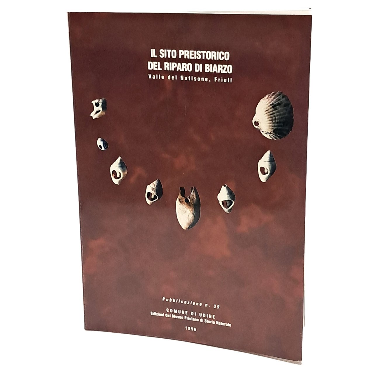 Il sito preistorico del riparo di Biarzo (valle del Natisone, …