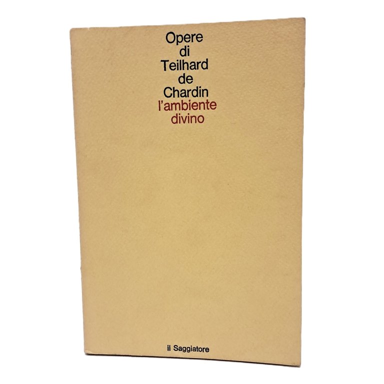L'ambiente divino