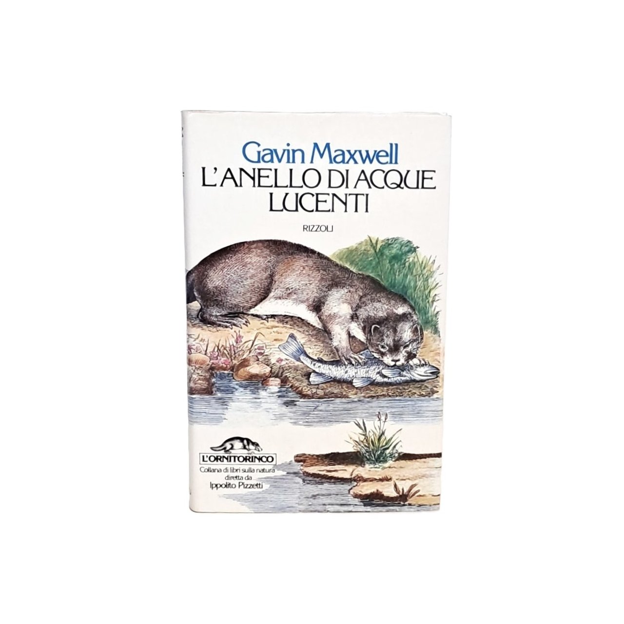 L'anello di acque lucenti