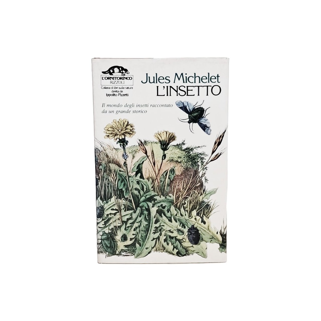 L'insetto. Il mondo degli insetti raccontato da un grande storico