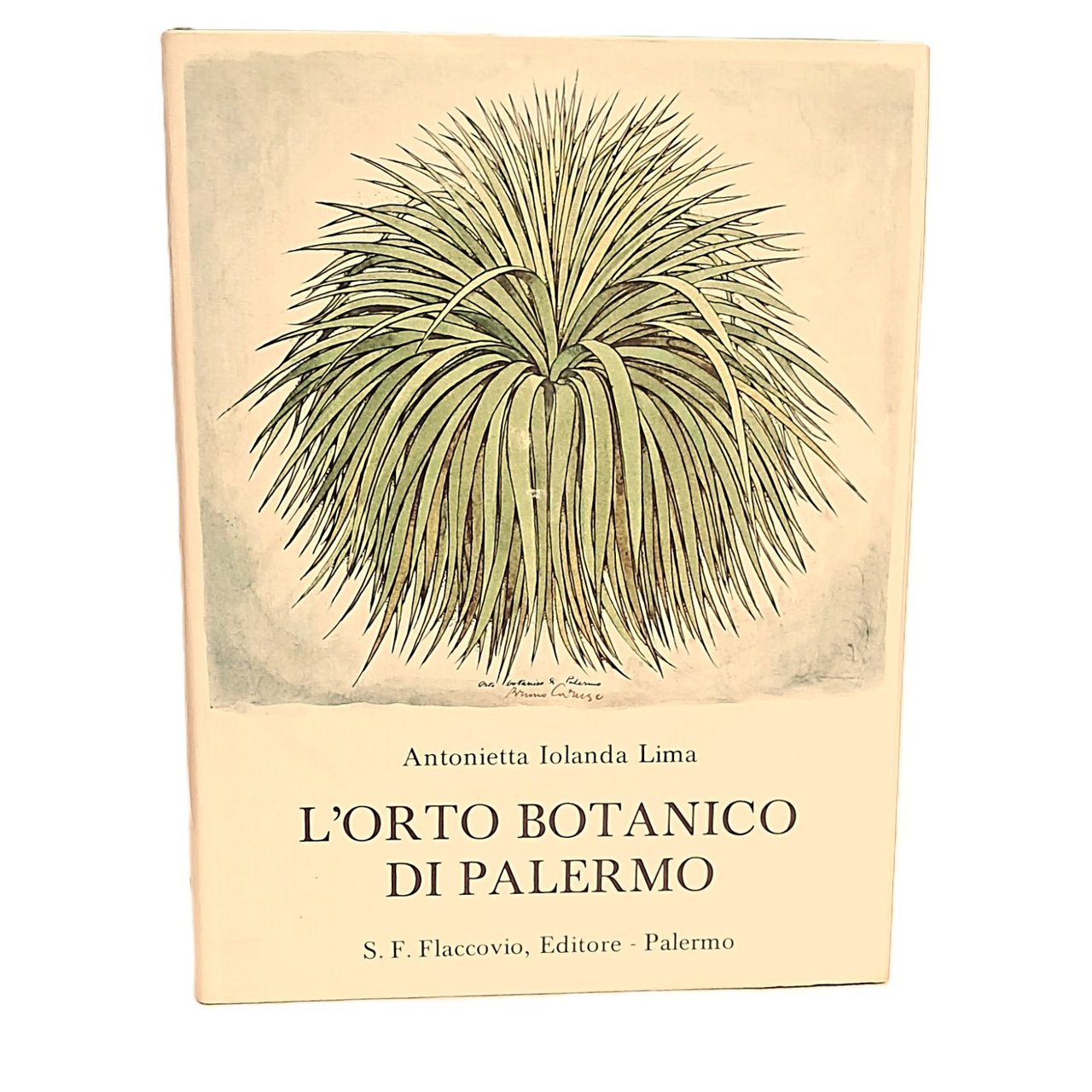 L'orto botanico di Palermo
