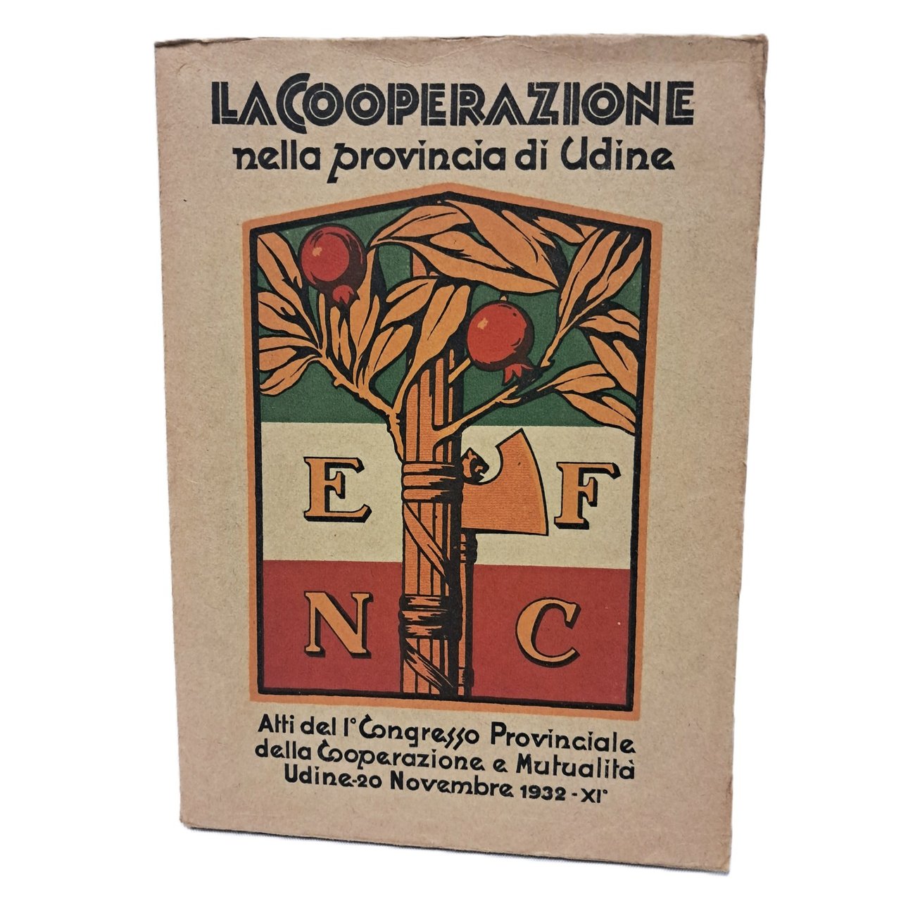 La cooperazione nella provincia di Udine | Immagine principale