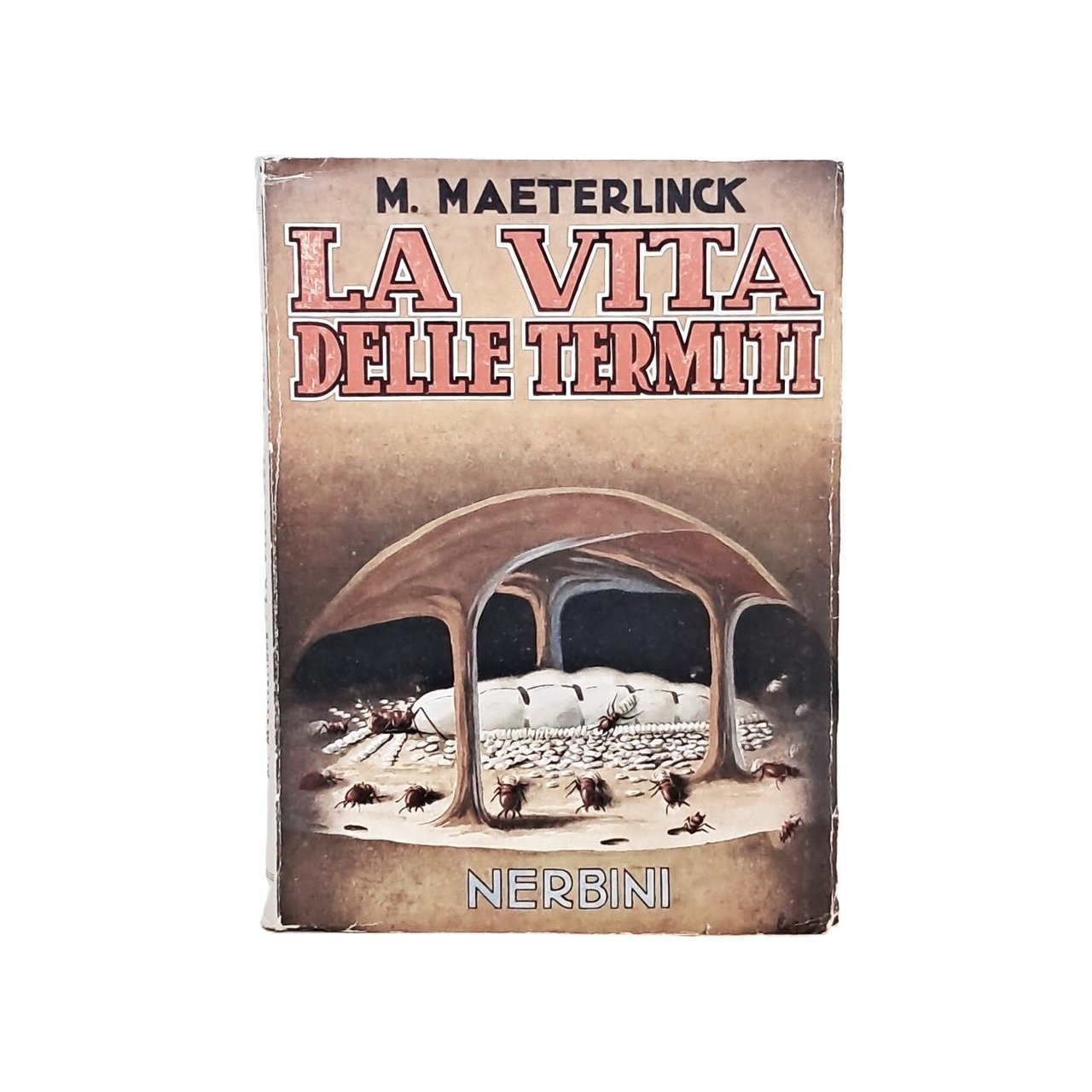 La vita delle termiti