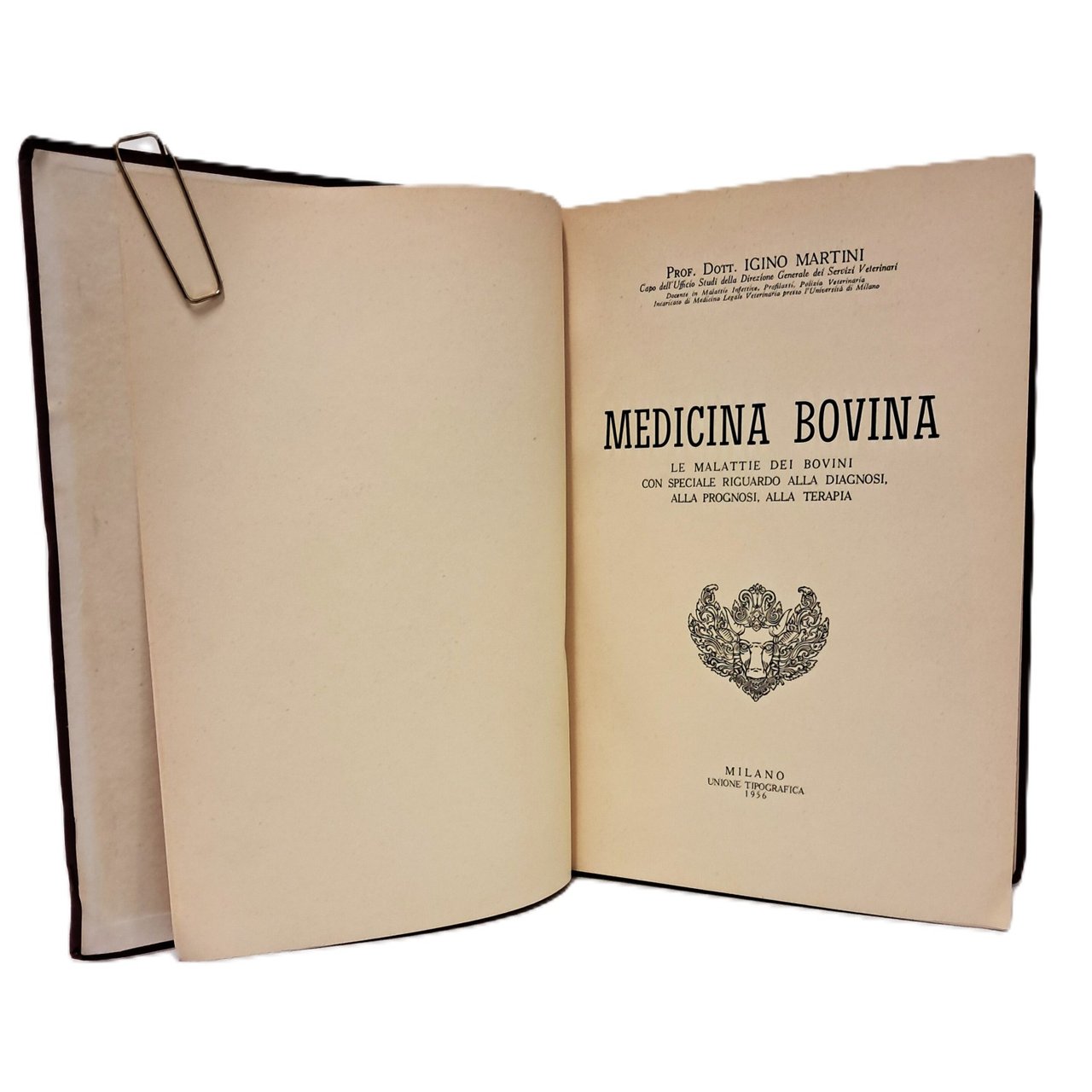 Medicina bovina | Immagine principale