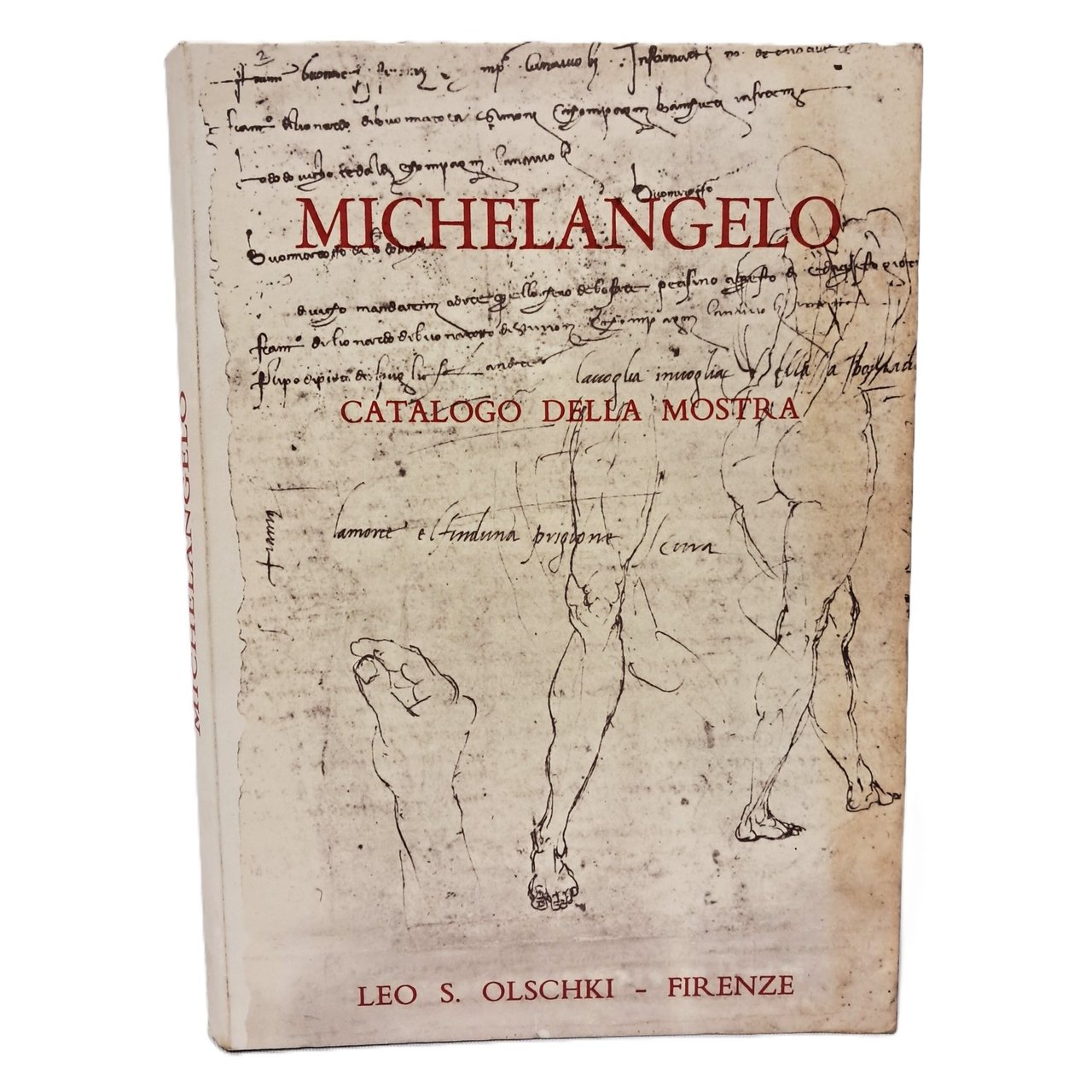 Michelangelo. Catalogo della mostra | Immagine principale