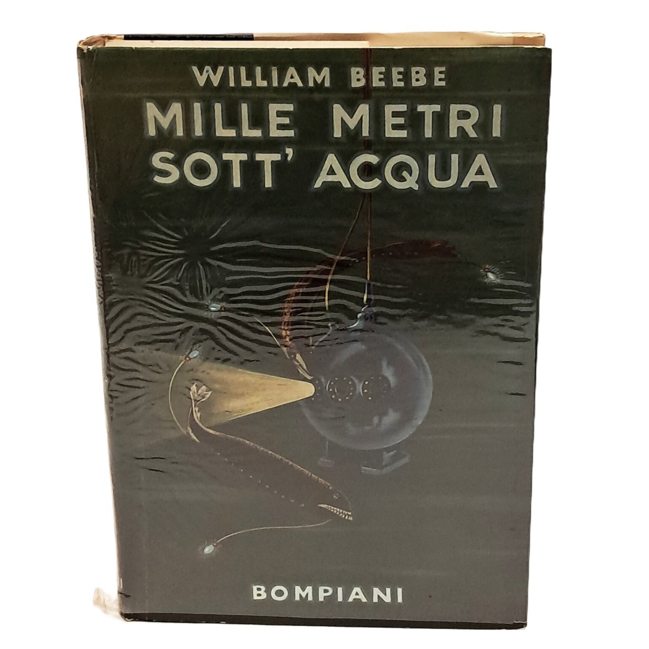 Mille metri sott'acqua | Immagine principale