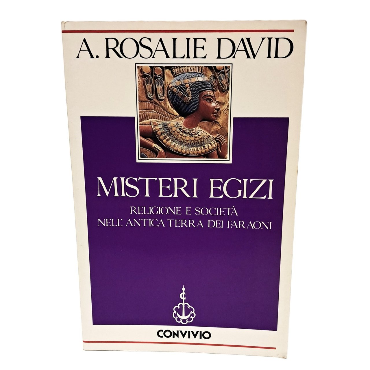 Misteri egizi. Religione e società nell'antica terra dei faraoni