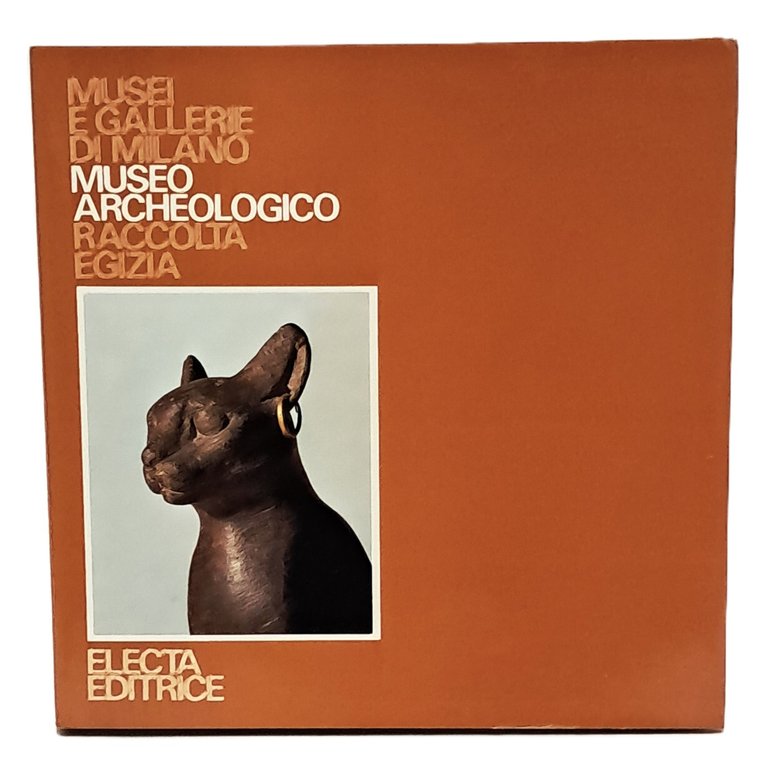 Museo archeologico raccolta egizia | Immagine Gallery 2