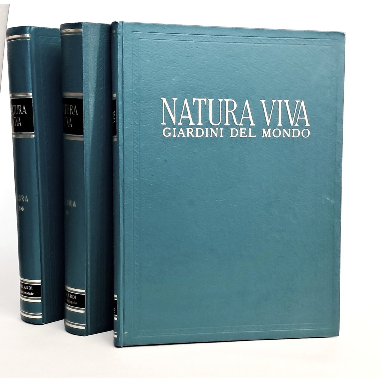 Natura viva I-II flora e giardini