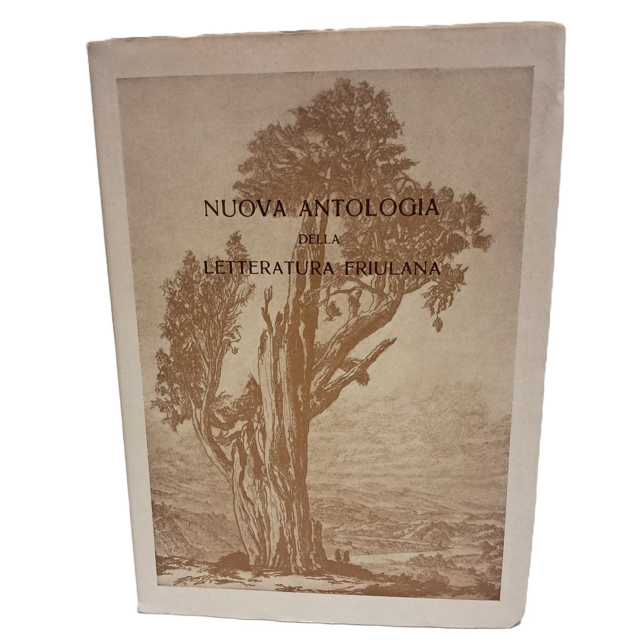 Nuova antologia della letteratura friulana