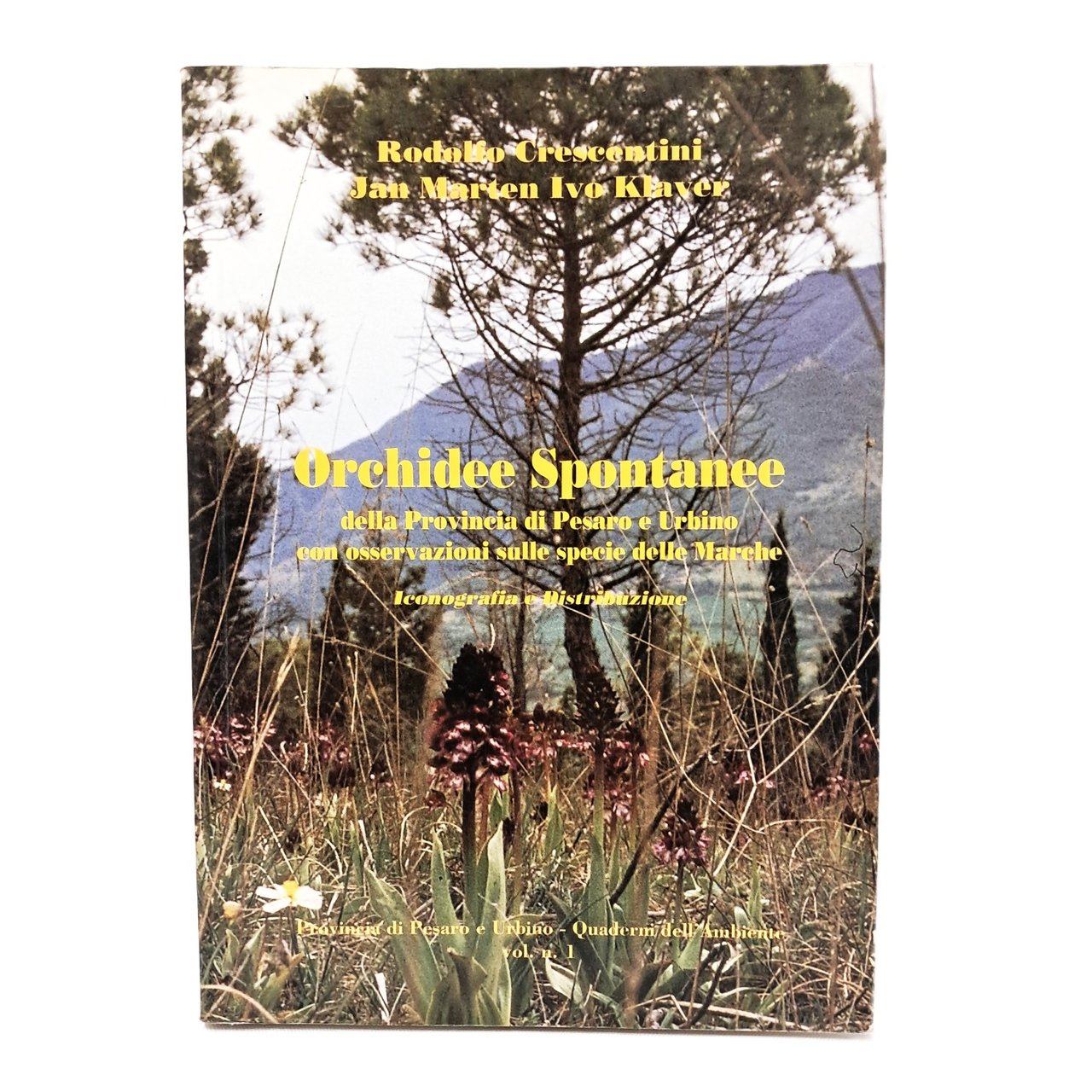 Orchidee spontanee della provincia di Pesaro e Urbino | Immagine principale