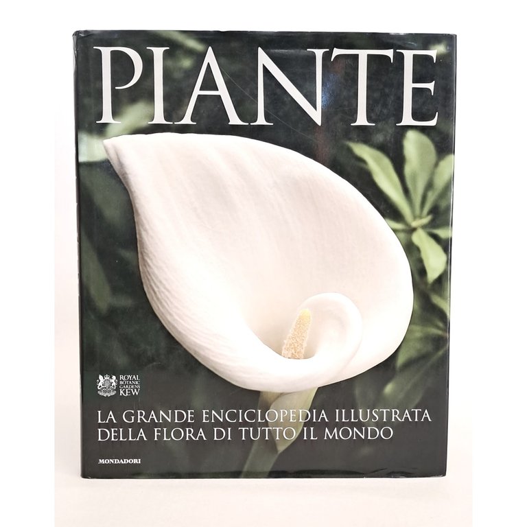 Piante