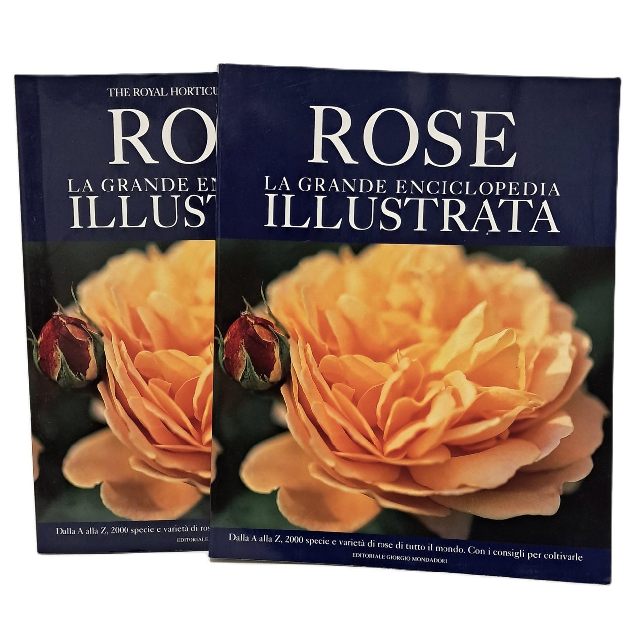 Rose la grande enciclopedia illustrata I-II | Immagine principale