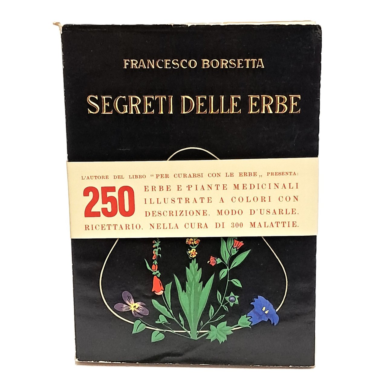 Segreti delle erbe | Immagine principale