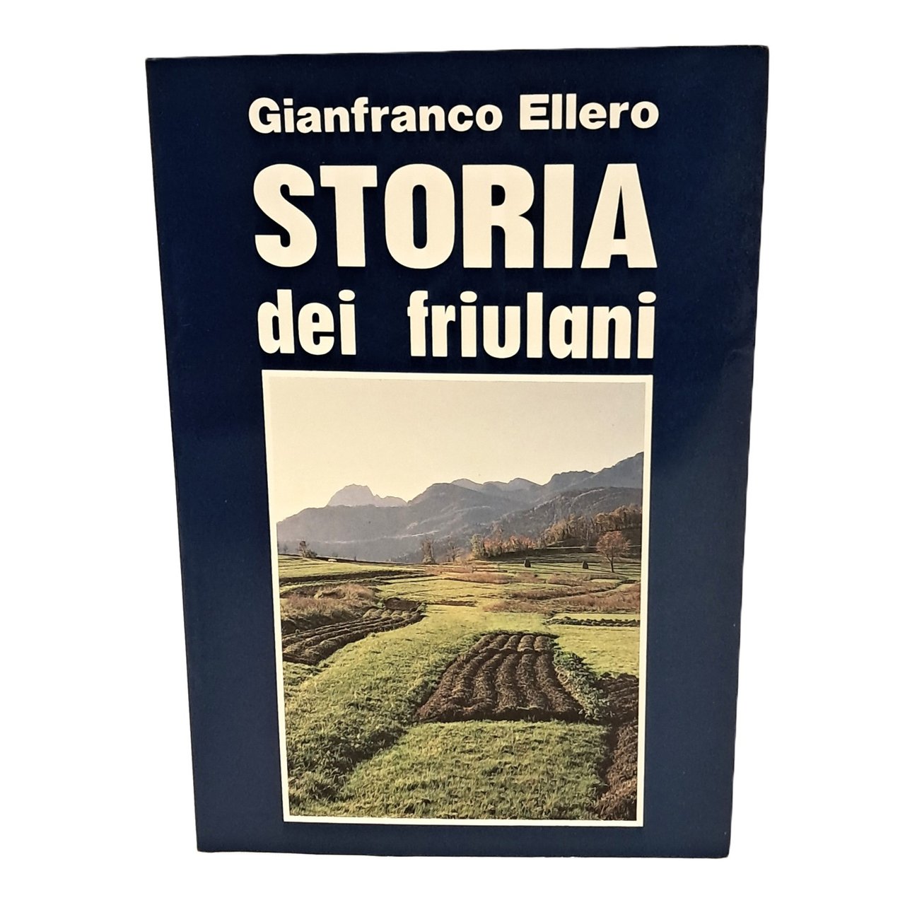 Storia dei friulani