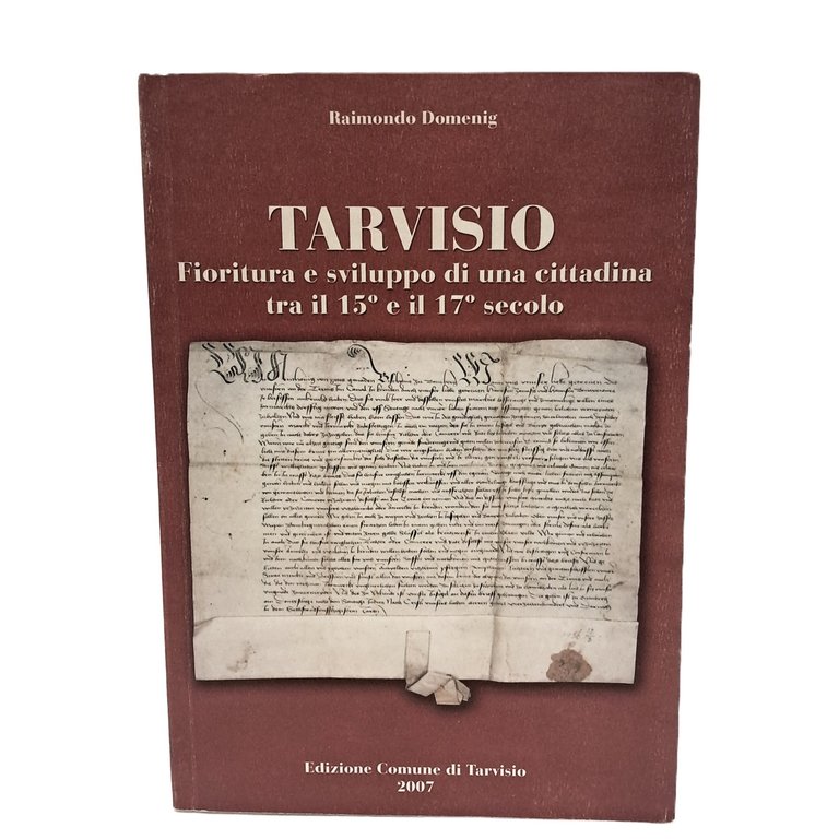 Tarvisio. Fioritura e sviluppo di una cittadina tra il 15° …