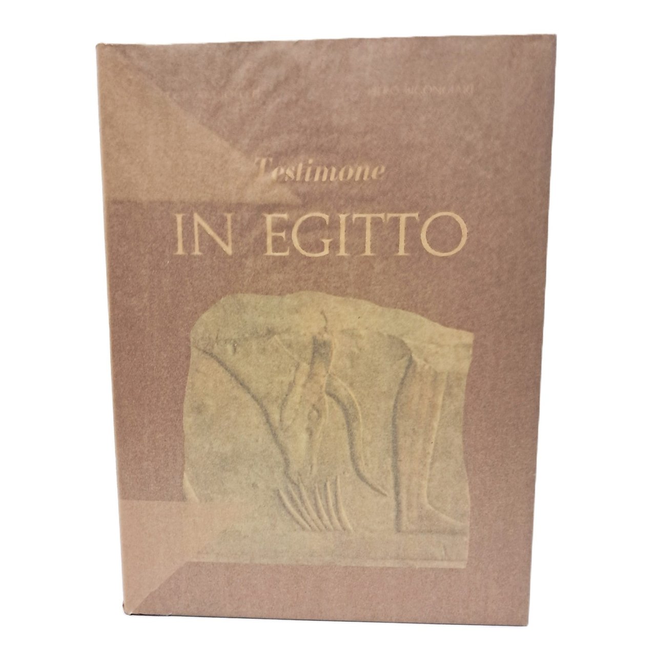 Testimone in Egitto | Immagine principale