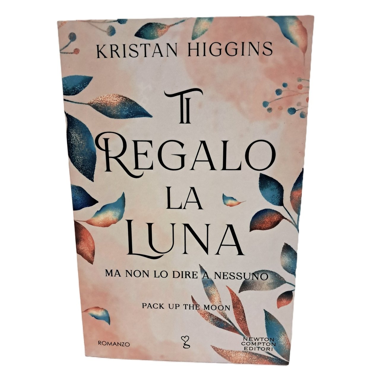 Ti regalo la luna (ma non lo dire a nessuno) | Immagine principale