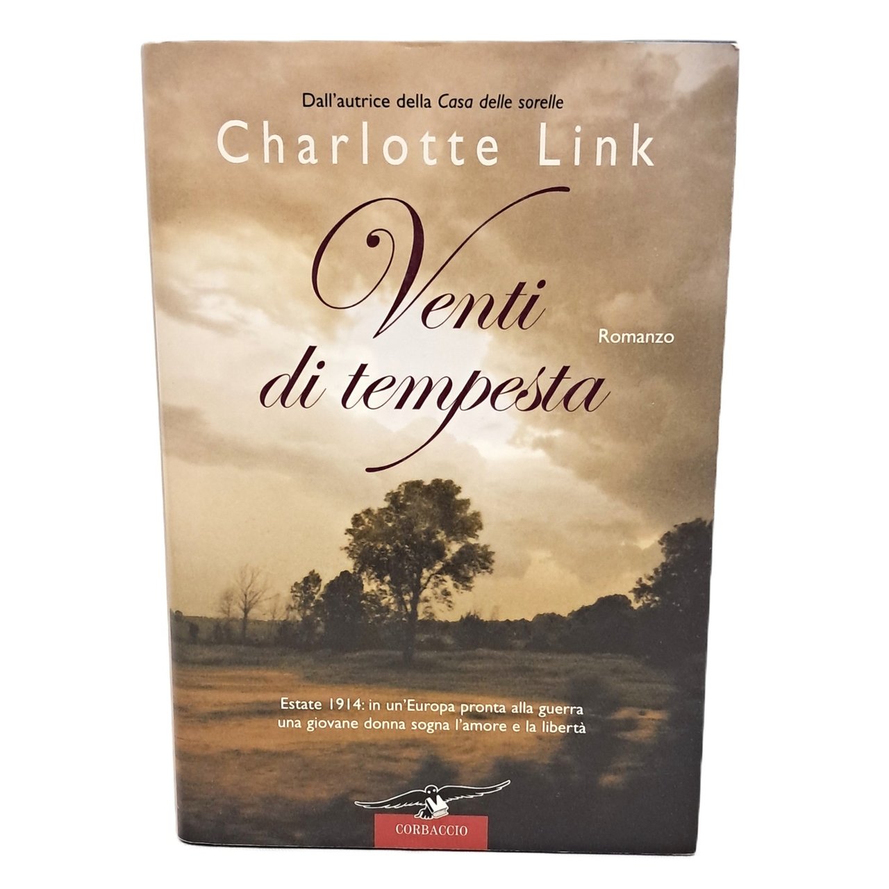Venti di tempesta | Immagine principale