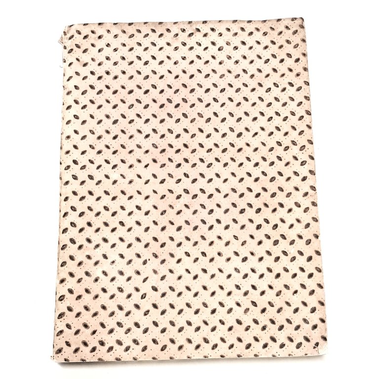 Vita della beata Maria Vittoria Fornari Strata fondatrice dell'Ordine della …