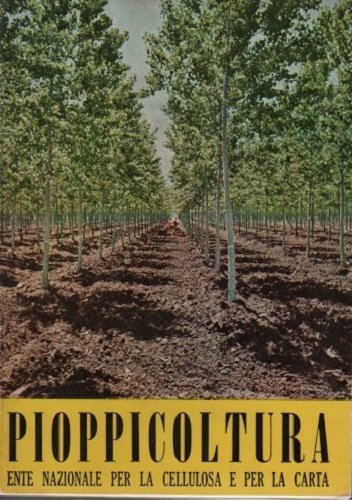 Pioppicoltura