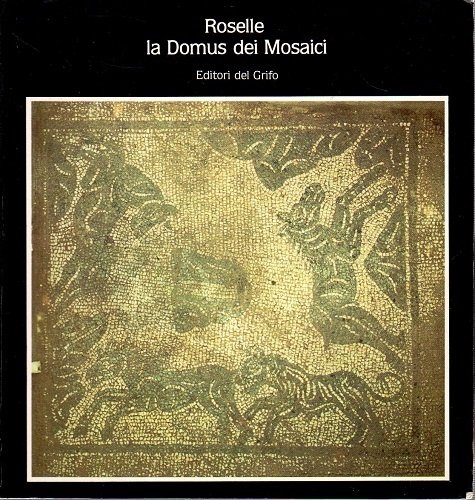 Roselle la Domus dei mosaici | Immagine Gallery 2