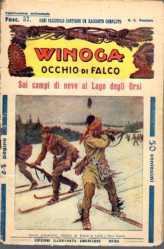 Winoga occhio di falco Sui campi di neve ai laghi …