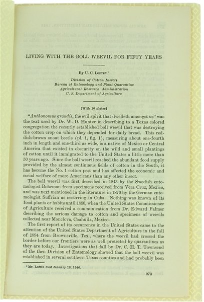 LIVING WITH THE BOLL WEEVIL FOR FIFTY YEARS.