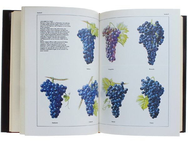 DIZIONARIO DI AGRARIA E ZOOTECNIA.