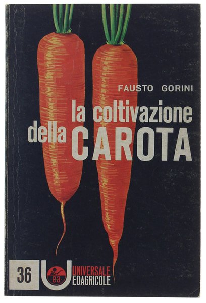 LA COLTIVAZIONE DELLA CAROTA.