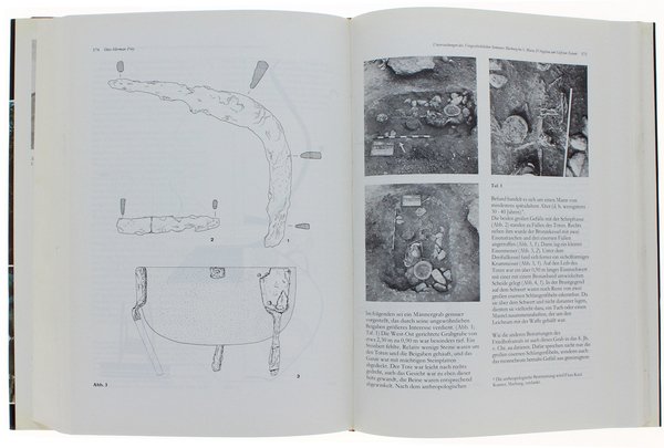 STUDI DI PALETNOLOGIA IN ONORE DI SALVATORE M.PUGLISI. | Immagine Gallery 6