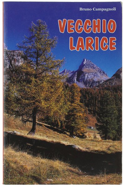 VECCHIO LARICE.