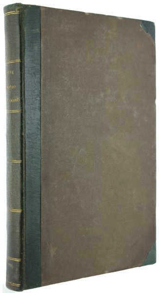SAGGIO SULL'UOMO. Epistole tradotte da Michele Leoni.