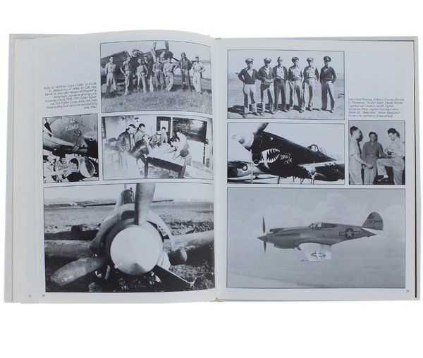 THE P-40 WARHAWK.